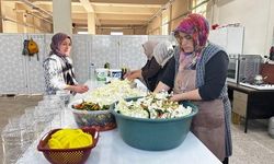 Ağrı'da Ata Tohumuyla Yetiştirilen Lahanalar Kadın Kooperatifinde Turşuya Dönüştürülüyor