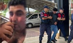 Alanya'da kuşlara işkence eden kişi tutuklandı