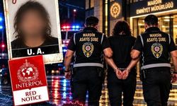 Almanya'da cinayet suçundan kırmızı bültenle aranan şüpheli Mardin'de yakalandı