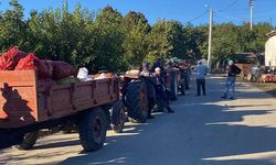 Bilecik Büyükbelen'de Ceviz Alım Noktasında Uzun Araç Kuyruğu Oluştu