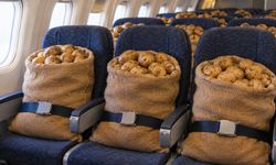 Boeing, Uçak İçi Wi-Fi Testlerinde 9 Ton Patates Kullandı