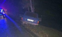 Bolu Mudurnu'da kontrolden çıkan otomobil ağaca çarptı: 1'i ağır 2 yaralı