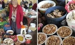 Bolu'da Kanlıca Mantarı Kilosu 600 Liraya Satılıyor