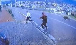 Bursa Orhangazi'de Köpeğin Saldırısı Sonrası Çocuk Bacağını Kırdı