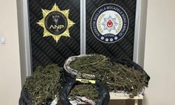 Ceyhan'da düzenlenen operasyonda 8 kilo 562 gram esrar ele geçirildi