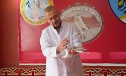 Erzurum'da emekli başçavuş güvercinleri için 3+1 ev kiraladı