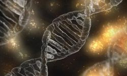 Genetik risklerin etkisini yaşam tarzıyla azaltmak mümkün