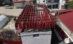 Hatay Yenihisar'da Kurutmalık Kapya Biberler Evlerin Her Yerini Kırmızıya Bürüdü