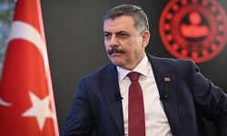 İçişleri Bakanı Çiftçi: Diyarbakır'daki sokak hayvanı çalışmaları yüzde 100 tamamlanacak