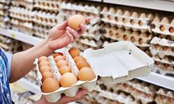İngiltere'de Salmonella riski taşıyan yumurtalar için uyarı: 3UA1012066 kodlu yumurtalar çöpe atılmalı