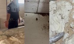 İskenderun'da hijyen kurallarına uymayan fırında hamam böceği ve sigara izmaritleri bulundu