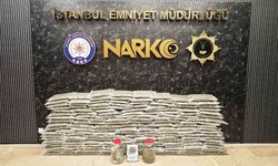 İstanbul ve Kocaeli'de 100 kilo skunk ele geçirildi, 2 kişi gözaltında