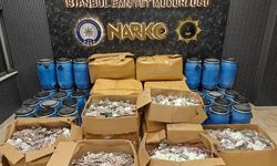 İstanbul'da uyuşturucu operasyonlarında 5 kişi gözaltına alındı