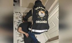 İstanbul'da yeni nesil suç örgütüne yönelik operasyon: 9 kişi gözaltına alındı