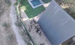 İzmir Torbalı'da 9 Yıldır Aranan Firari Hükümlü Özel Harekat Operasyonuyla Yakalandı