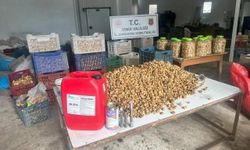 İzmir'de kimyasal kullanılarak beyazlatılan 3 ton incir ele geçirildi