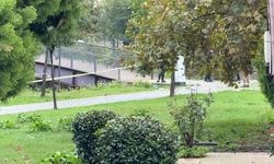 Kağıthane'de dere kenarında erkek cesedi bulundu