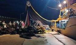 Karadeniz'de Palamut Avı Yoğunlaşırken Ağlar Trabzon Açıklarında Zarar Görüyor