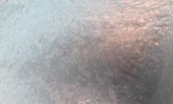 Kars'ta Hava Sıcaklığı Eksi 7 Dereceye Düştü, Araç Camları Dondu