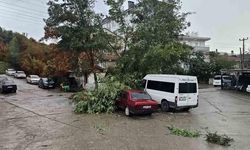 Kastamonu Cide'de Fırtına Çatıları Uçurdu, Ağaçları Devirdi