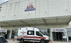 Kastamonu'da mantar tüketen 30 kişi zehirlenme şüphesiyle hastaneye başvurdu
