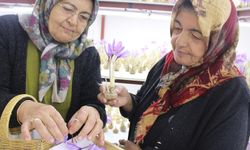 Kayseri'de kapalı alanda topraksız tarımla safran üretimi gerçekleştirildi