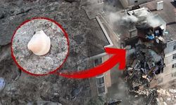 Maltepe'de çöken binanın betonundan deniz kabuğu çıktı