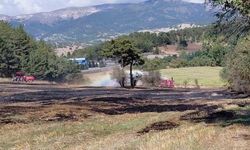 Mudurnu'da Anız Yangını Ormana Sıçradı, Köylülerin Erken Müdahalesi Facianın Önüne Geçti