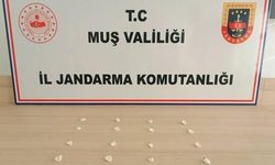 Muş'ta jandarma ekipleri 19 uyuşturucu olayına müdahale etti