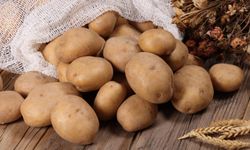 Patateslerin 6 Ay Boyunca Filizlenmesini Önlemenin Yöntemi
