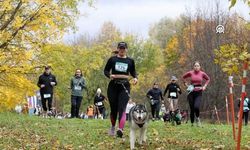 Rusya'da köpekler ve sahipleri 2 kilometrelik parkurda yarıştı
