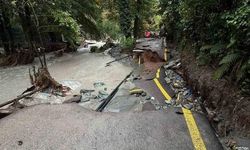 Sakarya Sapanca'da Sel Ağaç ve Elektrik Direklerini Devirdi