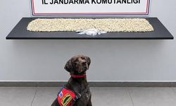 Şanlıurfa'da 14 bin 410 Captagon hap ele geçirildi