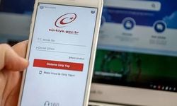 SEDDK'dan yeni adım: Sigorta bilgileri e-Devlet'te erişime açıldı