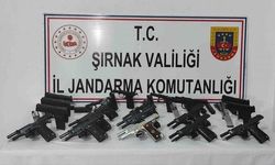 Şırnak'ta 3 tırda silah ve uyuşturucu ele geçirildi