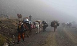 Şırnak'taki göçerler soğuyan havalar nedeniyle yayladan ayrıldı