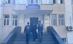 Siverek'te 920 Bin TL Değerinde Bakır Tel Hırsızlığı Şüphelisi Tutuklandı