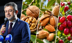 Tarım Sigortalarında 2027'de Kapsam 25 Ürüne Genişliyor