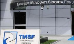 TMSF, Destek Finans Faktoring'e kayyum atadı