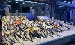 Trabzon'da Palamut Tezgahları Doldurdu, Fiyatları 100-150 TL Arasında