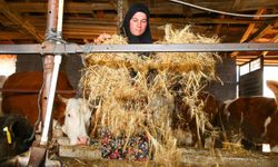 Uşak'ta iki inekle başlayan hayvancılık serüveni köyün 'hanımağa'sı olmasını sağladı