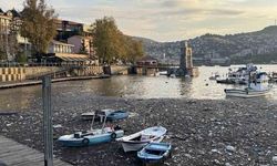 Zonguldak Limanında Sağanak Sonrası Plastik Atıklar Birikti