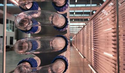 Boğaziçi Üniversitesi mikroalg temelli biyopestisit geliştirecek