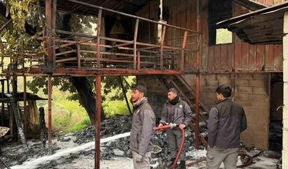Alanya'da Müstakil Evde Çıkan Yangın Korku Yarattı