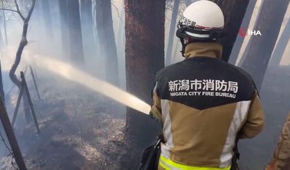 Japonya'da 1.618 Hektarlık Alan Yangında Zarar Gördü