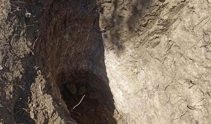 Tekirdağ Çene Mahallesi Mezarlığında İzinsiz Kazı İddiası