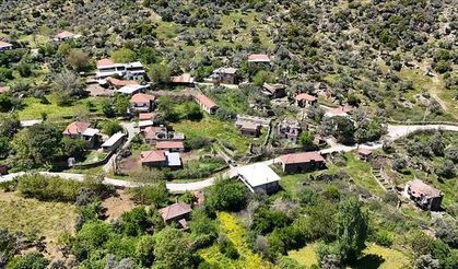 Aydın'ın Hasanlar Mahallesi Genç Nüfusun Göçüyle Sessizliğe Büründü