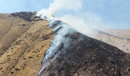 Elazığ Keban'daki orman yangınına neden olan şüpheli tutuklandı