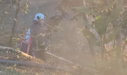 Zonguldak'ta Fındık Bahçesindeki Yangına Vatandaşlar Ayaklarıyla Müdahale Etti