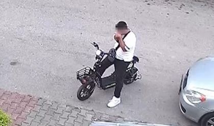Bolu'da yavru kediyi boğan şahıs gözaltına alındı